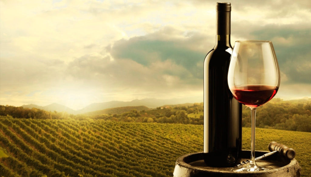 City Tour no Rio Grande do Sul